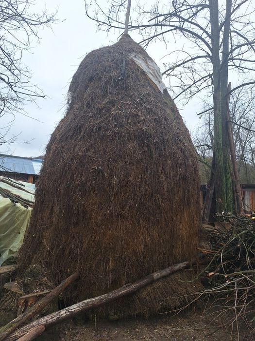 Vînd baloți de lucerna și fîn inpreunat cu lucerna (clae)