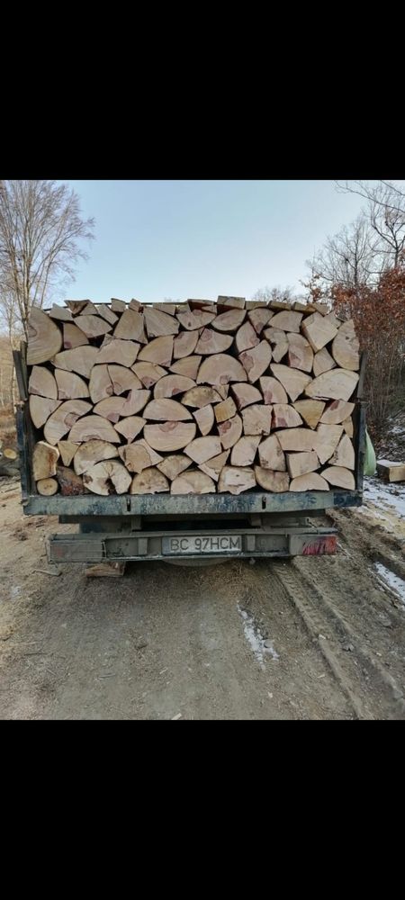 Lemne de foc taiate