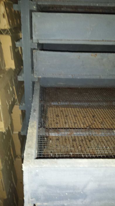 Инкубатор + люпилен шкаф