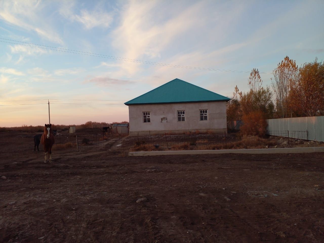 Фазенда срочно со всеми удоб