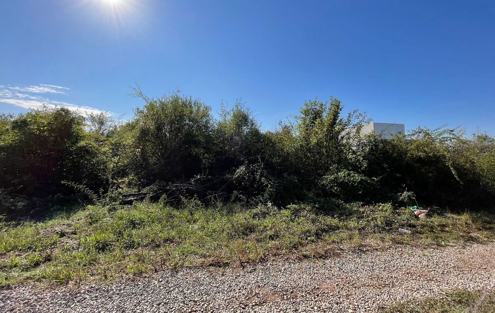 Teren intravilan Sanpetru livada PUZ 2564mp