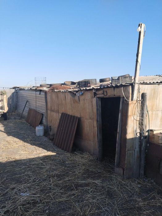 Продам дом в п. Шеминовка