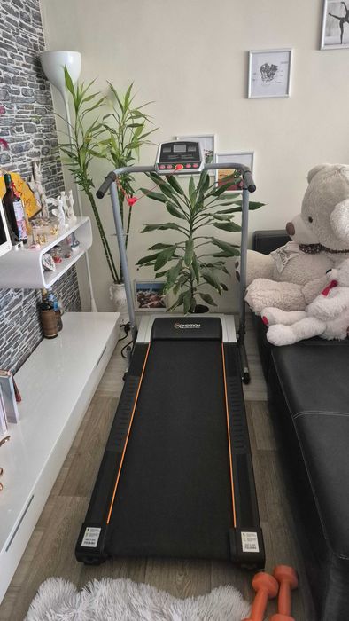 Електрическа пътека