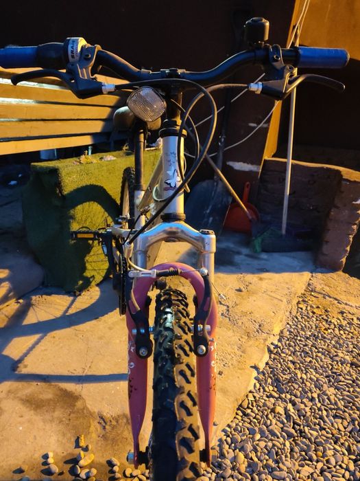 bicucleta copii 250 ron