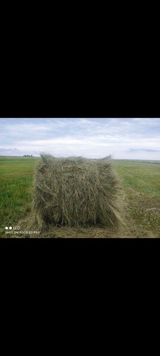 Продам сено с доставкой