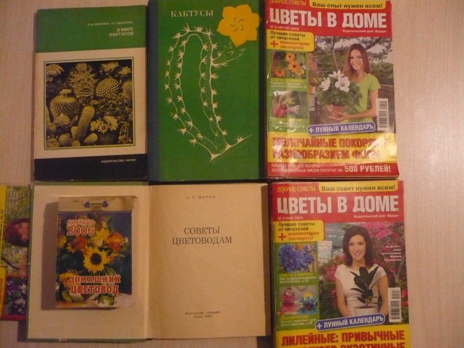 Комнатные цветы, домашнее цветоводство