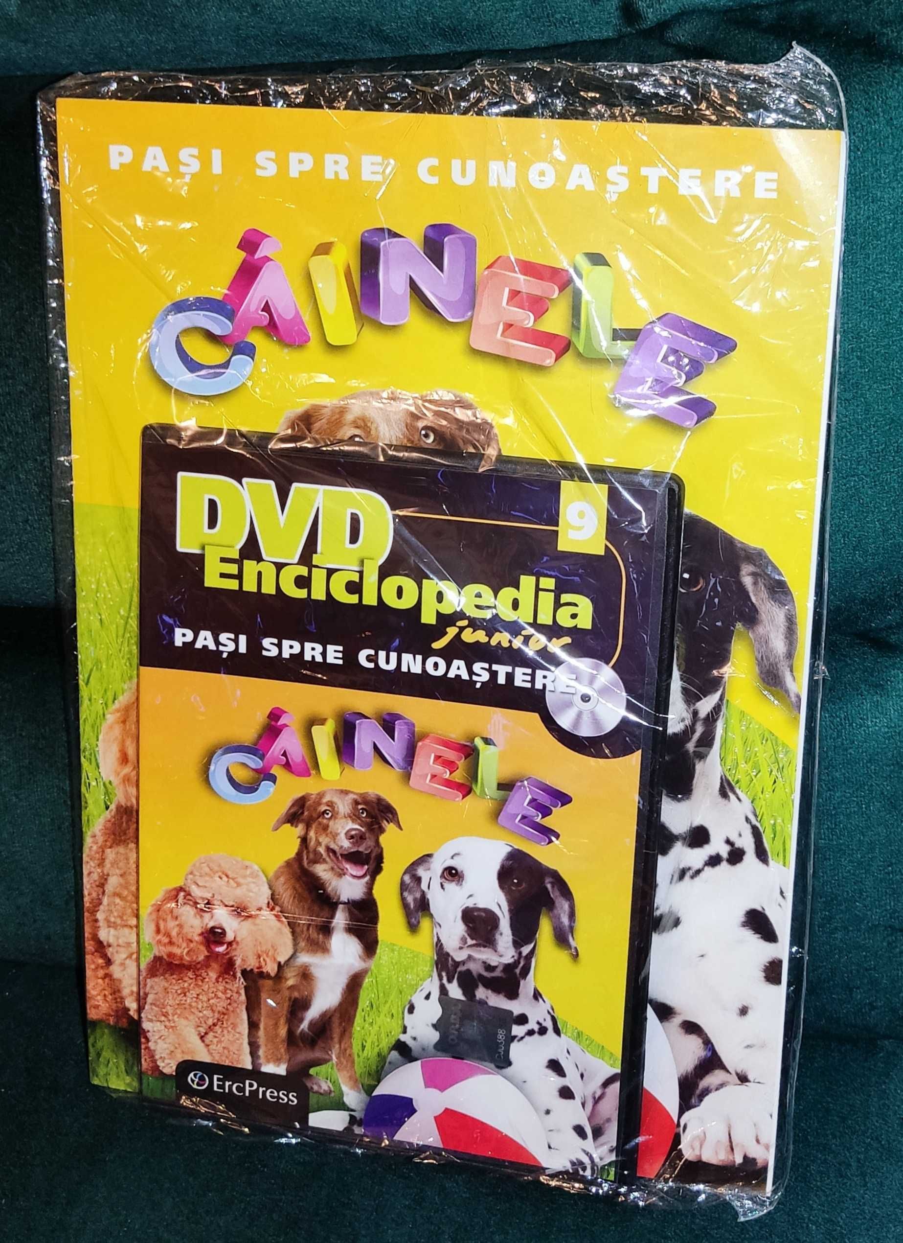 Enciclopedia Junior Pasi spre cunoastere - Animale - Revista + DVD