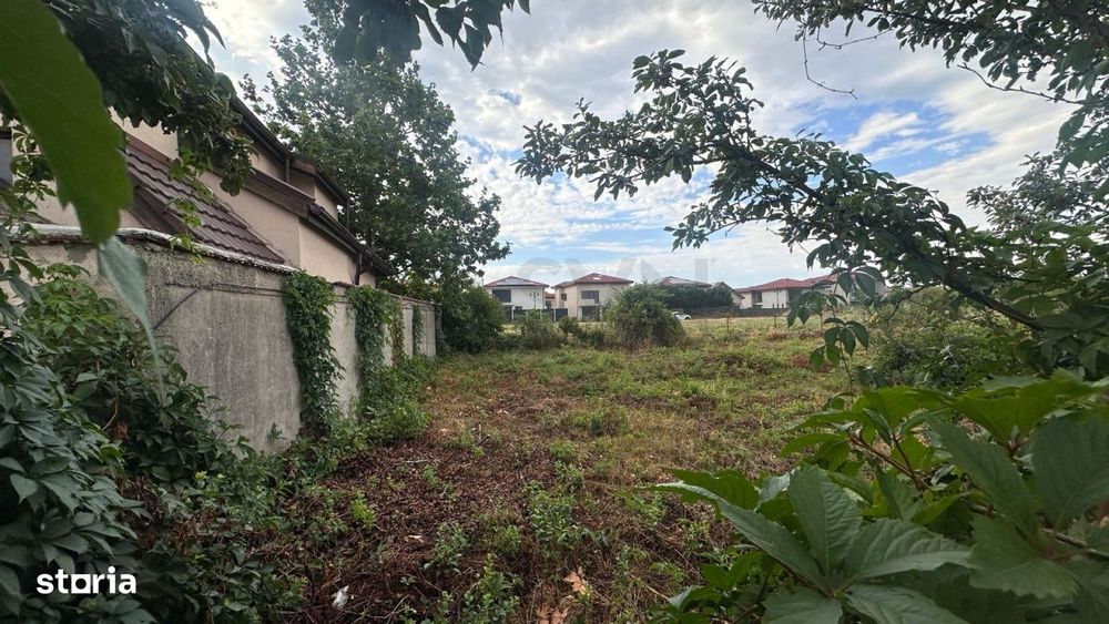 Teren I Campul Pipera