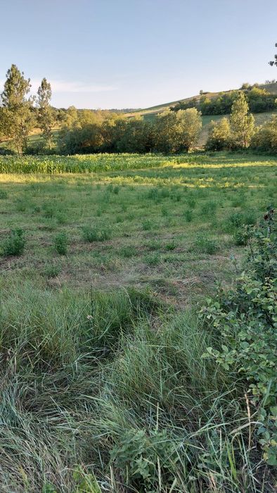 1900m² intravilan Valea Căptălanului