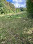 CAMPINA - teren intravilan - 2500mp - 100 Euro/mp