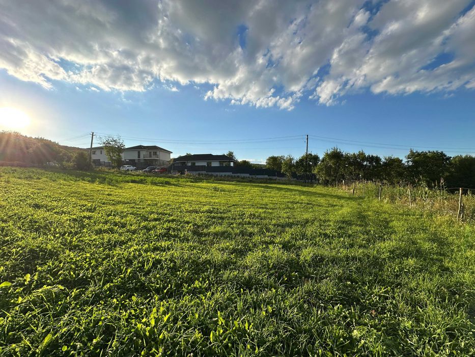Teren intravilan 950 mp Corușu – panorama spre pădure