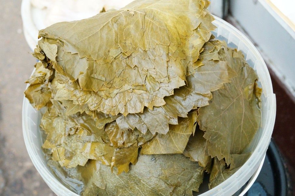 Виноградные листья для долмы.