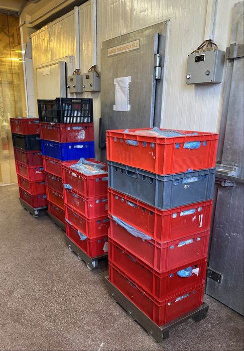 Afacere  functionala carmangerie investitie