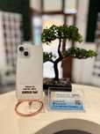 iPhone 15 128Gb / 88% - Din magazin,cu garantie! Folie Gratis!
