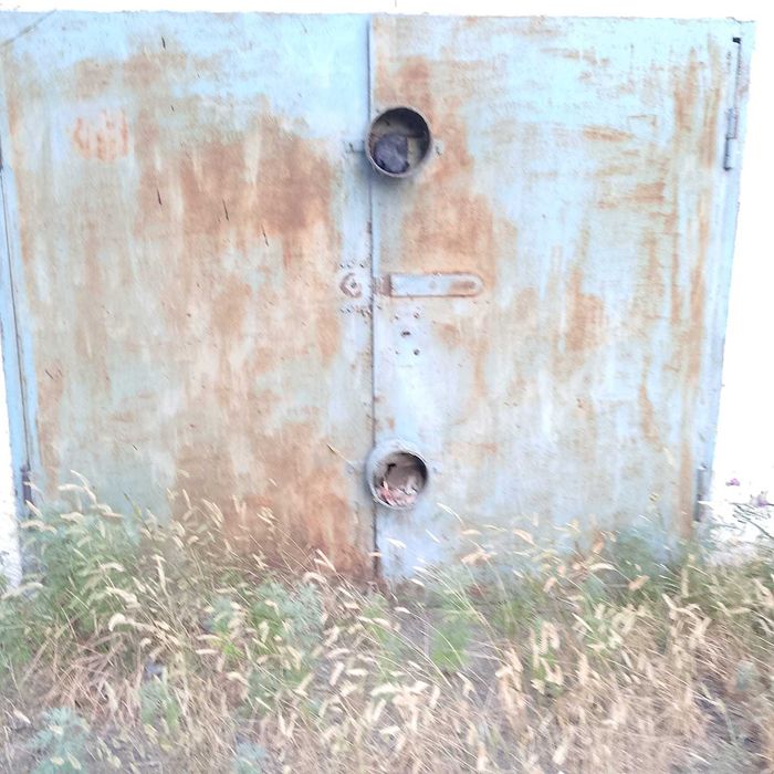 Сдам гараж шугаева