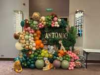 Arcade baloane de la 1000 lei ursitoare botez animatori copii-145 leih
