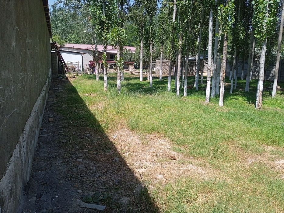 Продаю землю 5соток г.Янгиюль