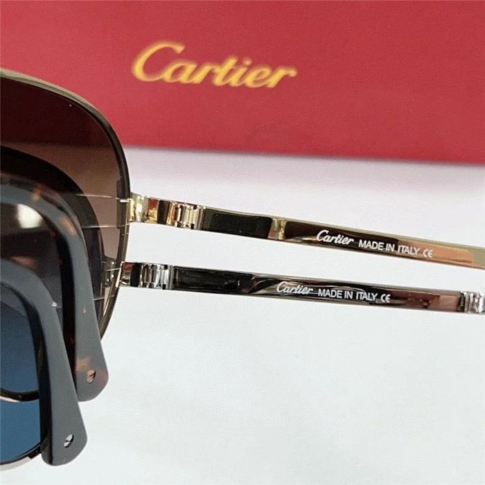 Мъжки слънчеви очила Картие