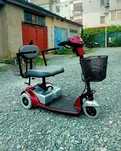 Scuter căruț electric pentru persoane cu dizabilități