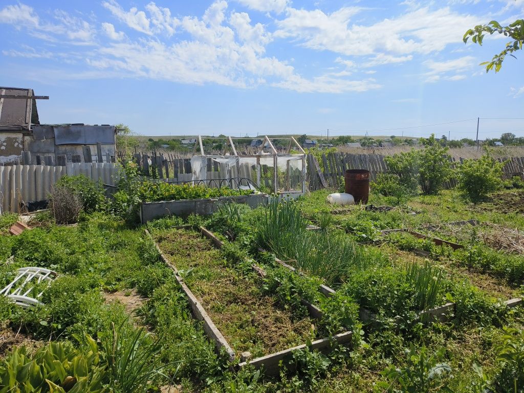 Продам дачу в городе 11 линия