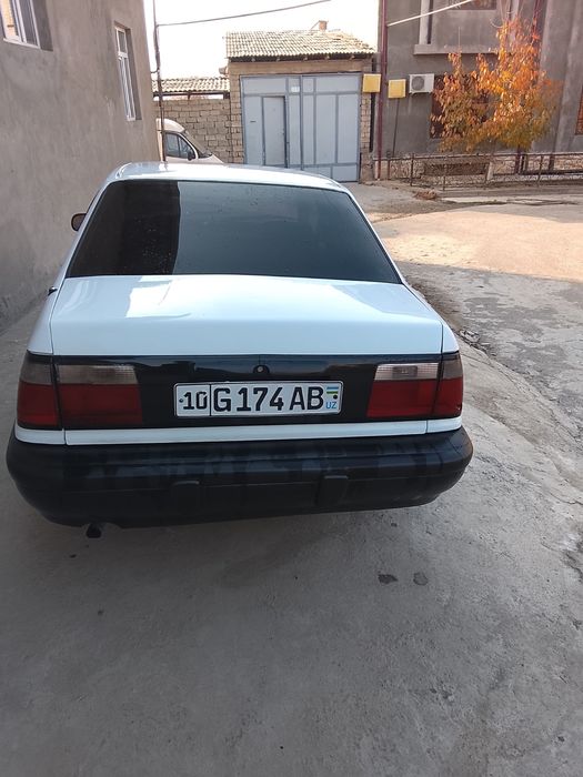 Kareski nexia asvejit qilingan suyagi butun