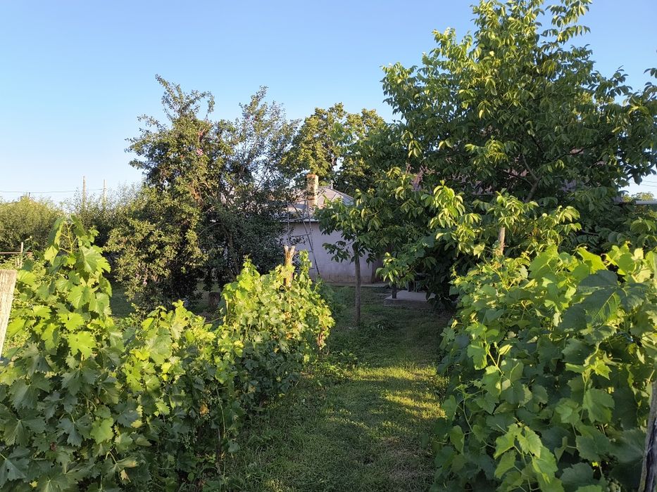 De vânzare Casa Biliești