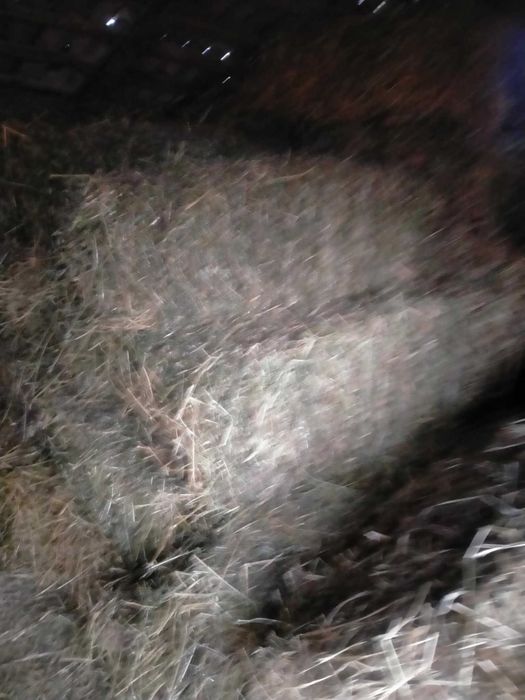 Vand baloti de fan si lucerna