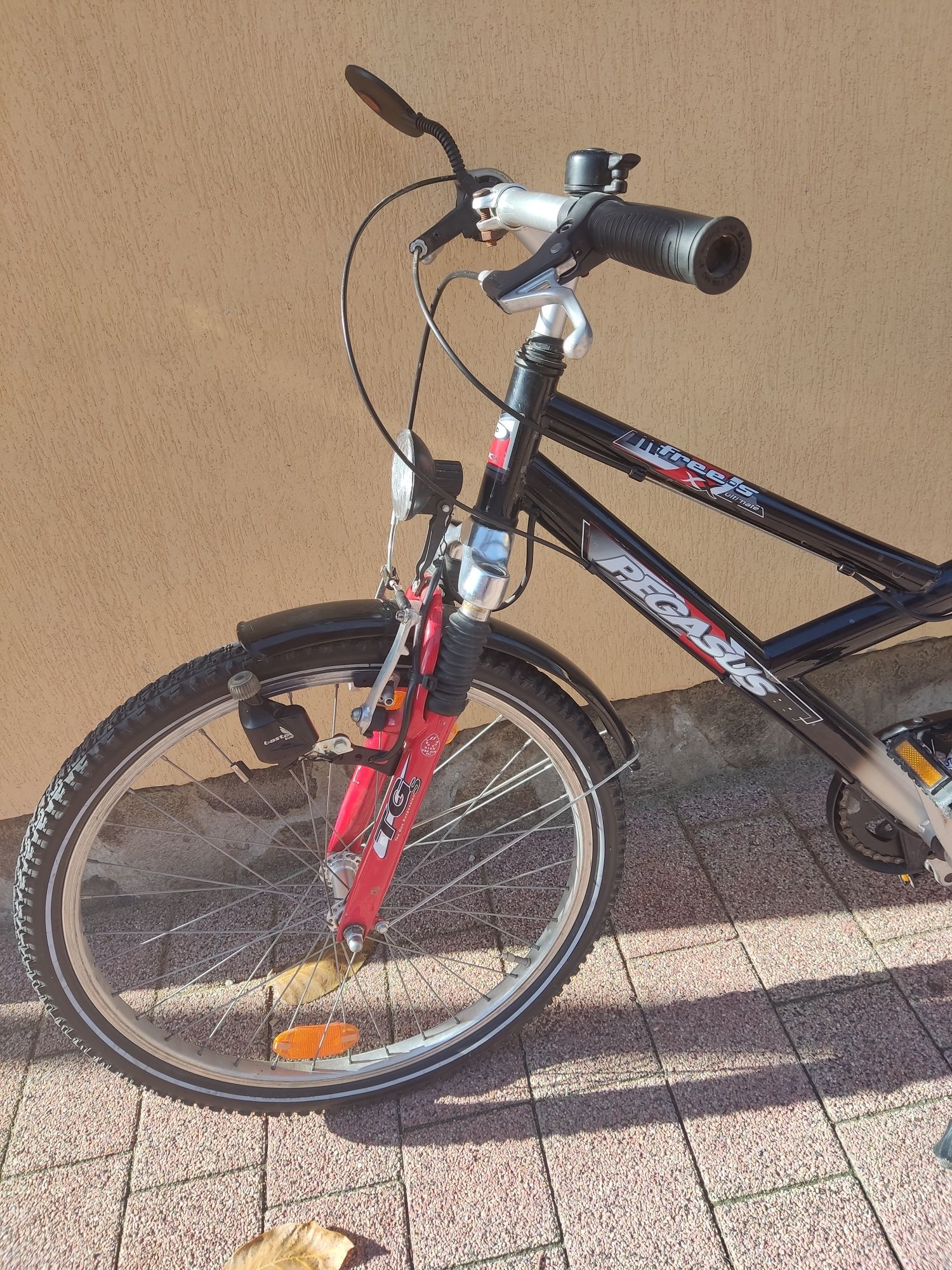 Vand bicicleta Pegas 24