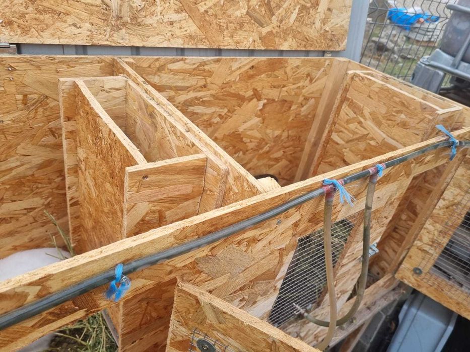 Cusca de iepuri cu iepuri totul automat