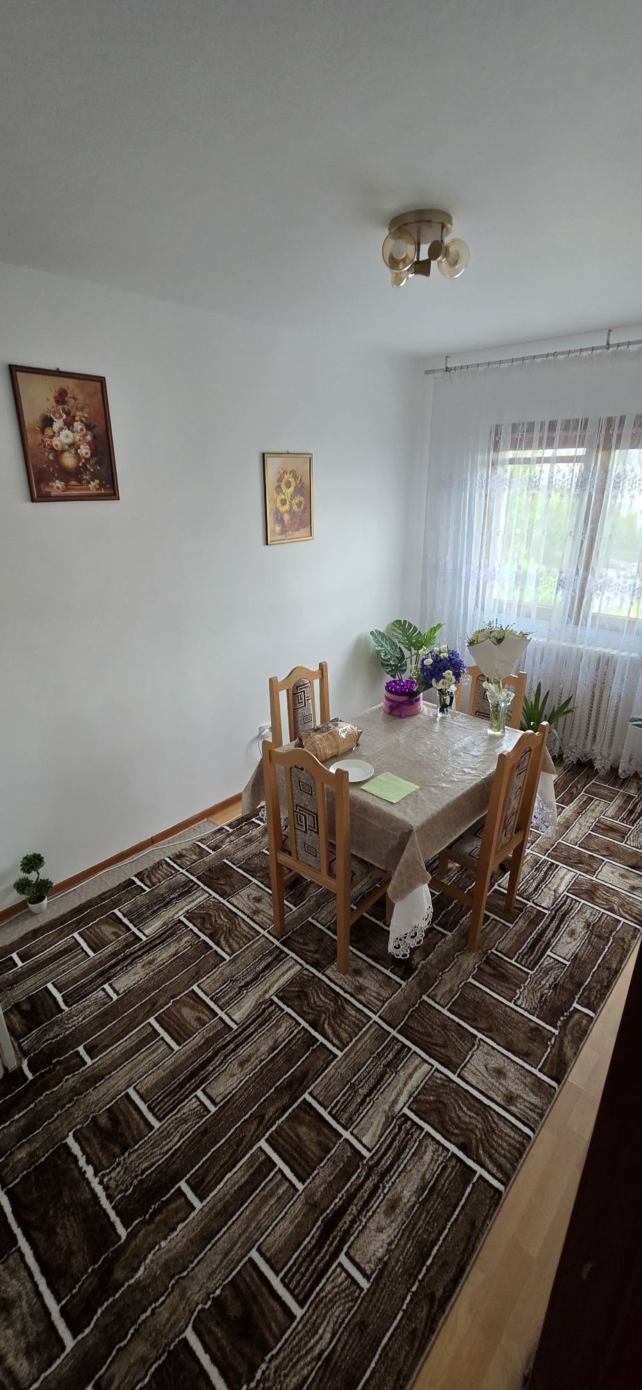 Apartament 3 cam Podu Ros - Palas