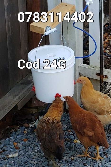 Adapatori pui gaini prepelite fazani- Cu montare rapida pe galeti- 24G