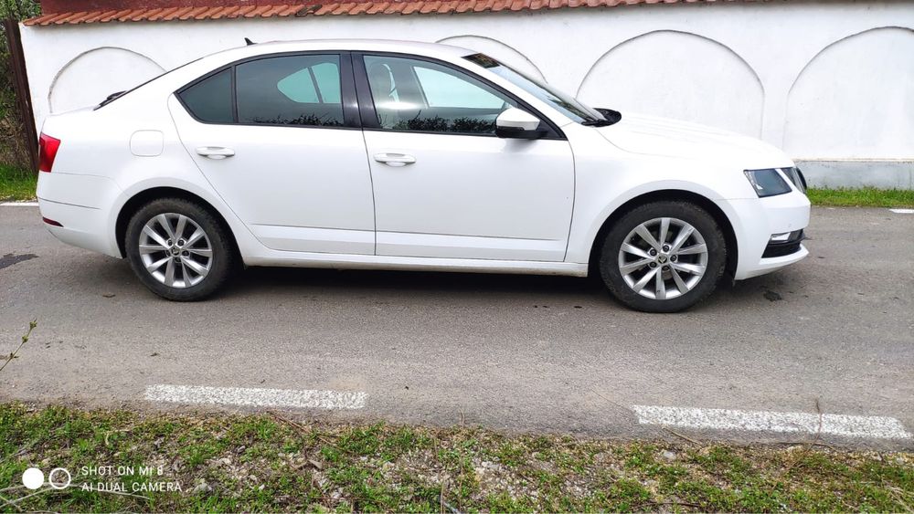 Skoda octavia 2017