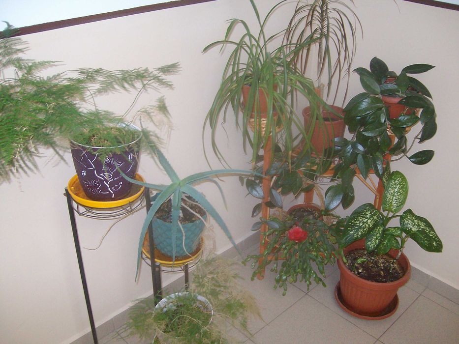 фотоапарат Praktica luxmedia 8303 8.2МРх 
редакция