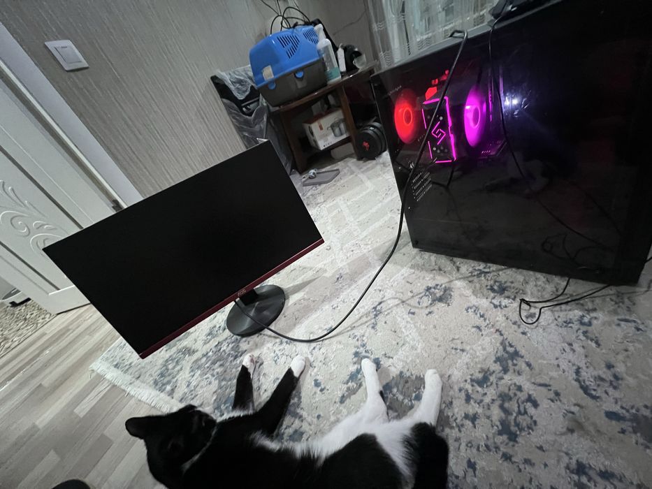 Игровой компьютер + моник