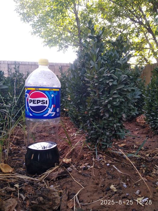 Shamshotlar Sotiladi