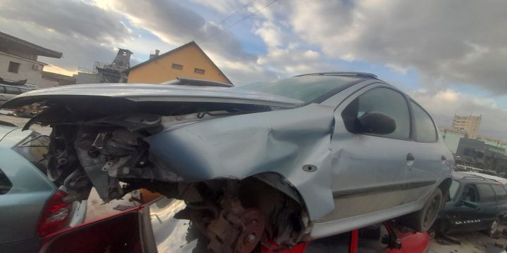 Amortizor hayon dreapta Peugeot 206 prima generatie