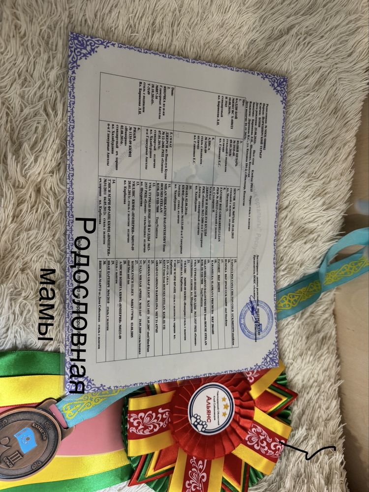 Йоркширский терьер