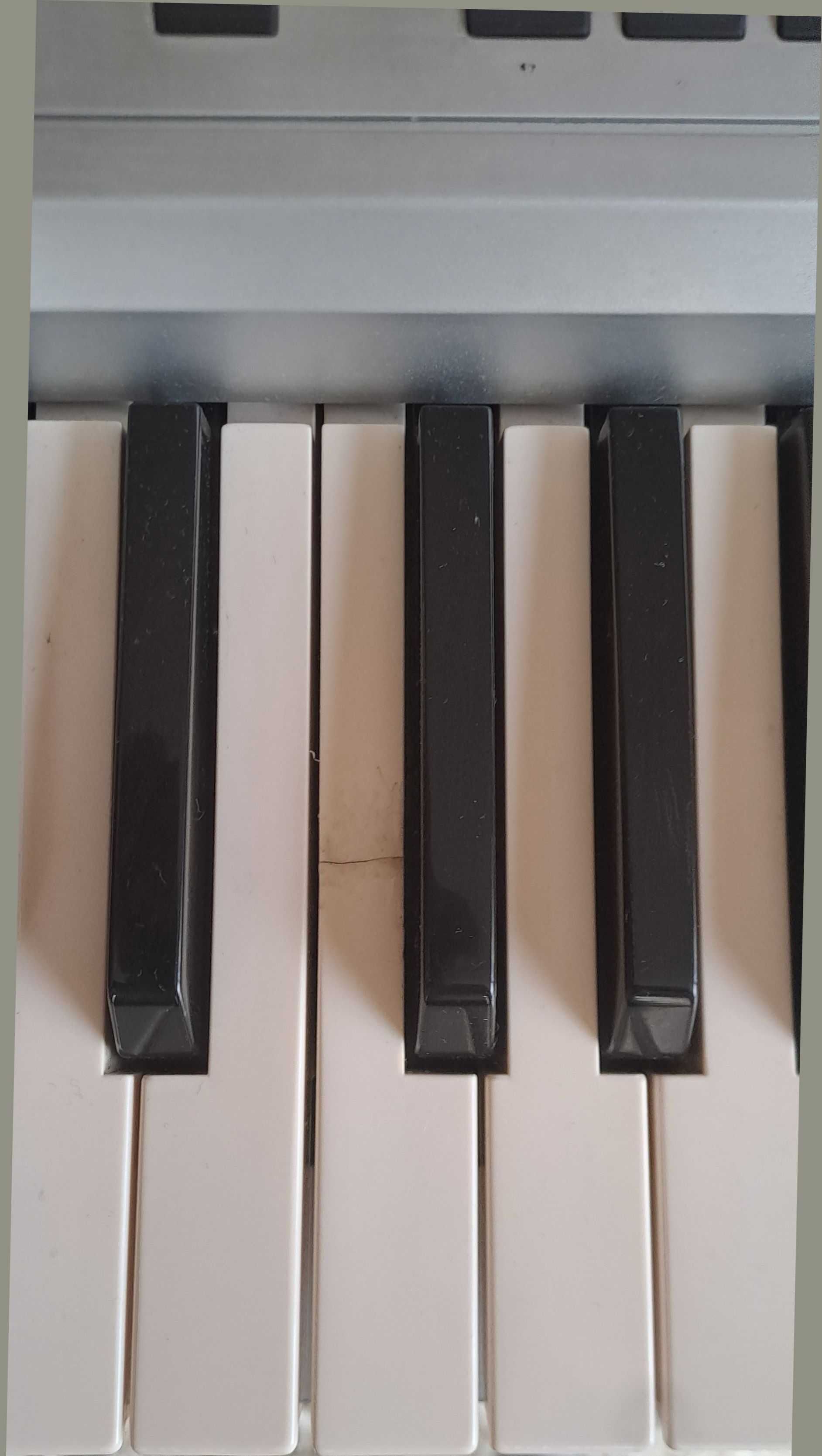 Синтезатор KORG PA50