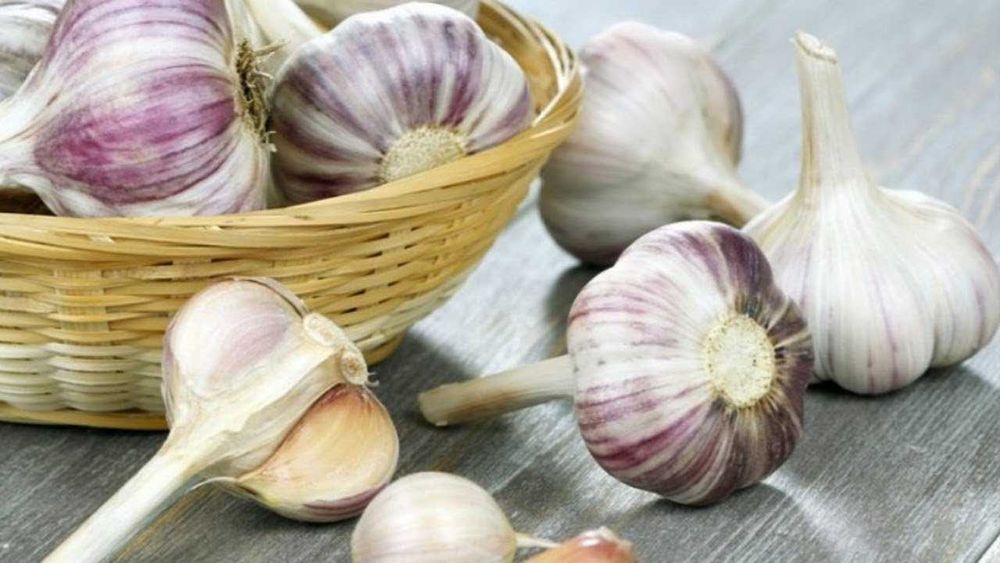 Чеснок домашний свежий