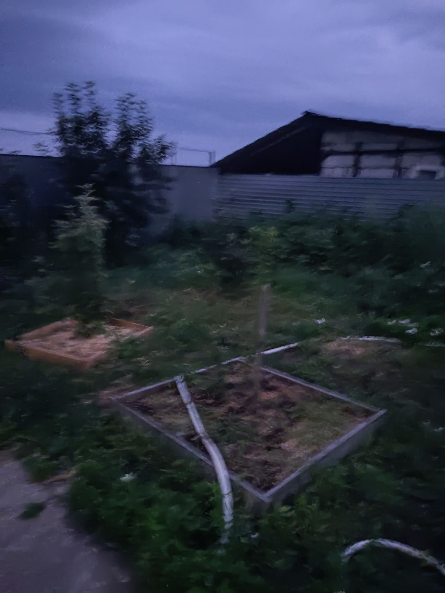 Аренда Дача посуточно в городе Кжби