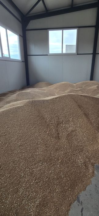 Продавам Пшеница(жито)