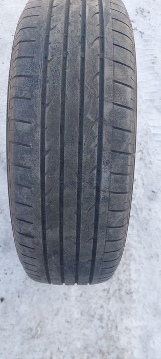 Срочно ! Продам шина