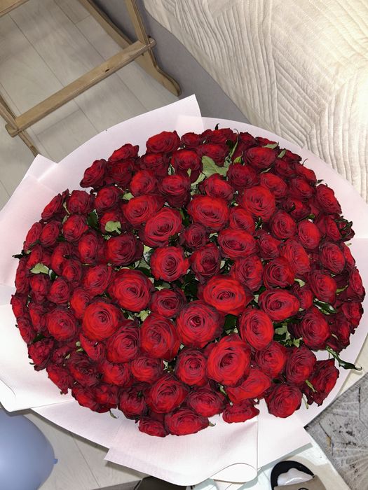 101 розы красиииииииивые