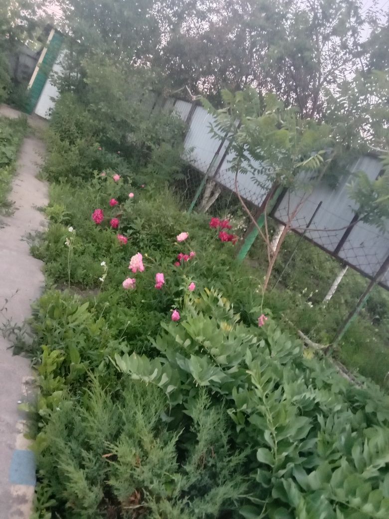Продам дом. Район поворот на Ивушку.