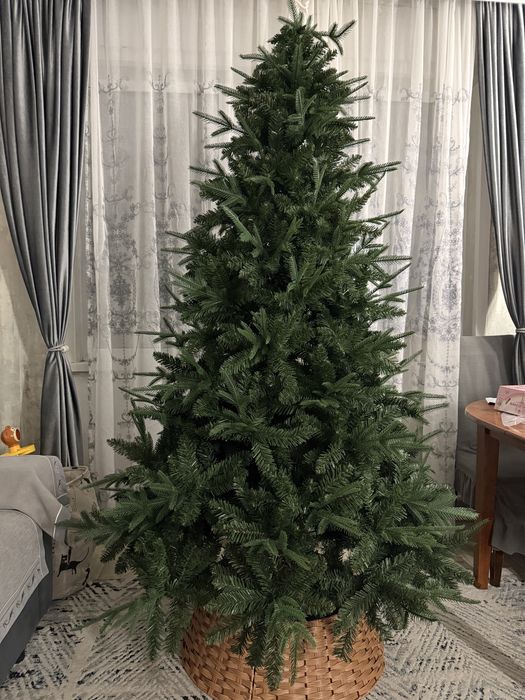 Продам елку 2.10 цена 60000