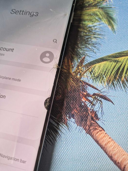 Samsung S10 Plus