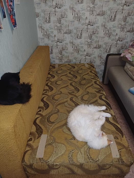 Диван коробка торг