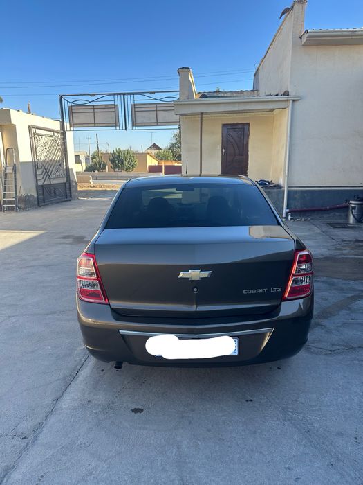 Kobilt zeus rangda toza