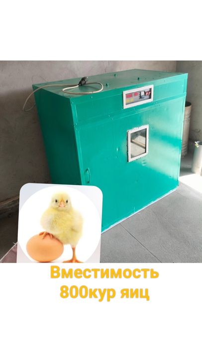 Професиональный Инкубатор на 800кур яиц, с выкотным тележкой