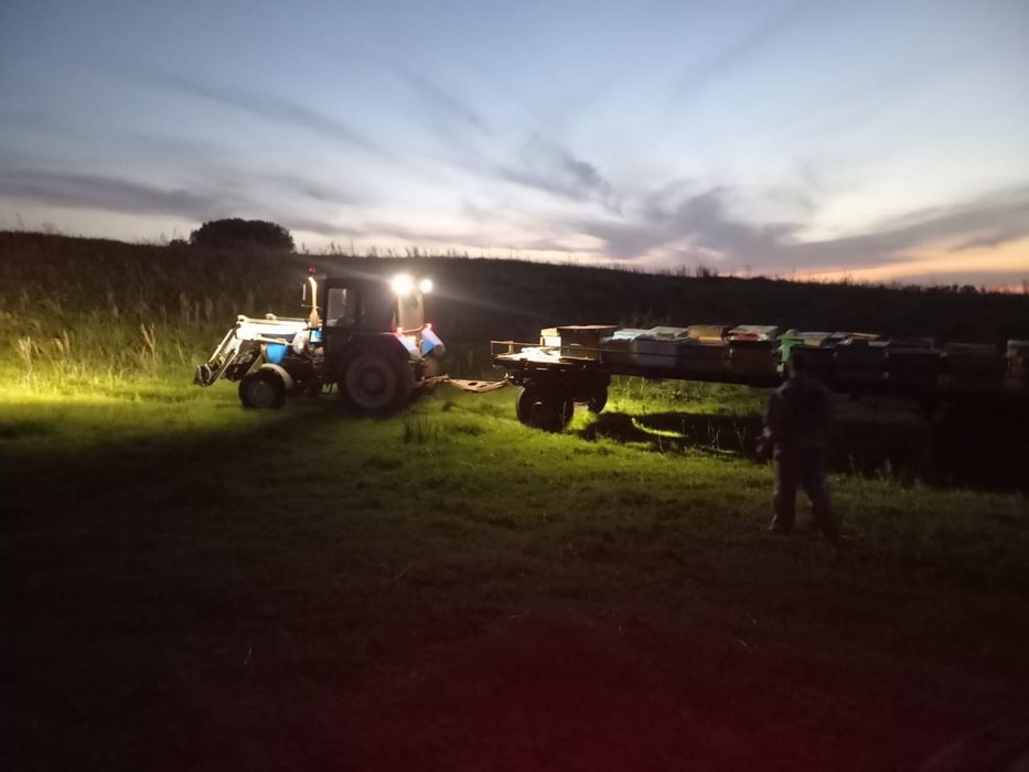 Пчелоплощадка(павильон)